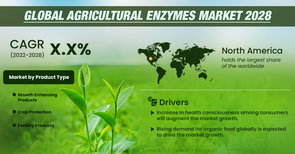 Agricultural Enzymes Market