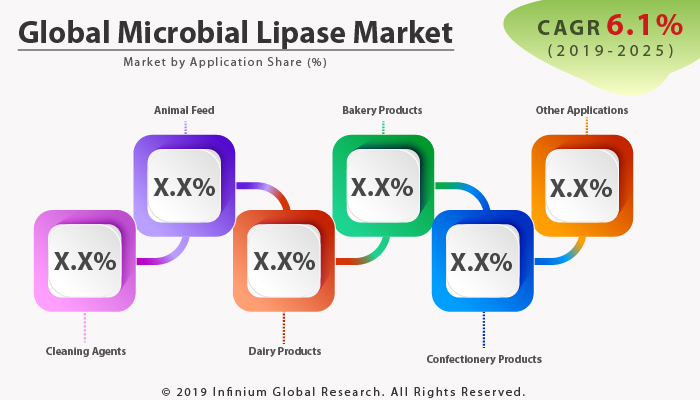 Global Microbial Lipase Market