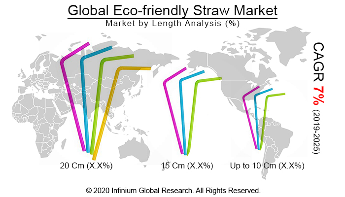 Global Eco-friendly Straw Market