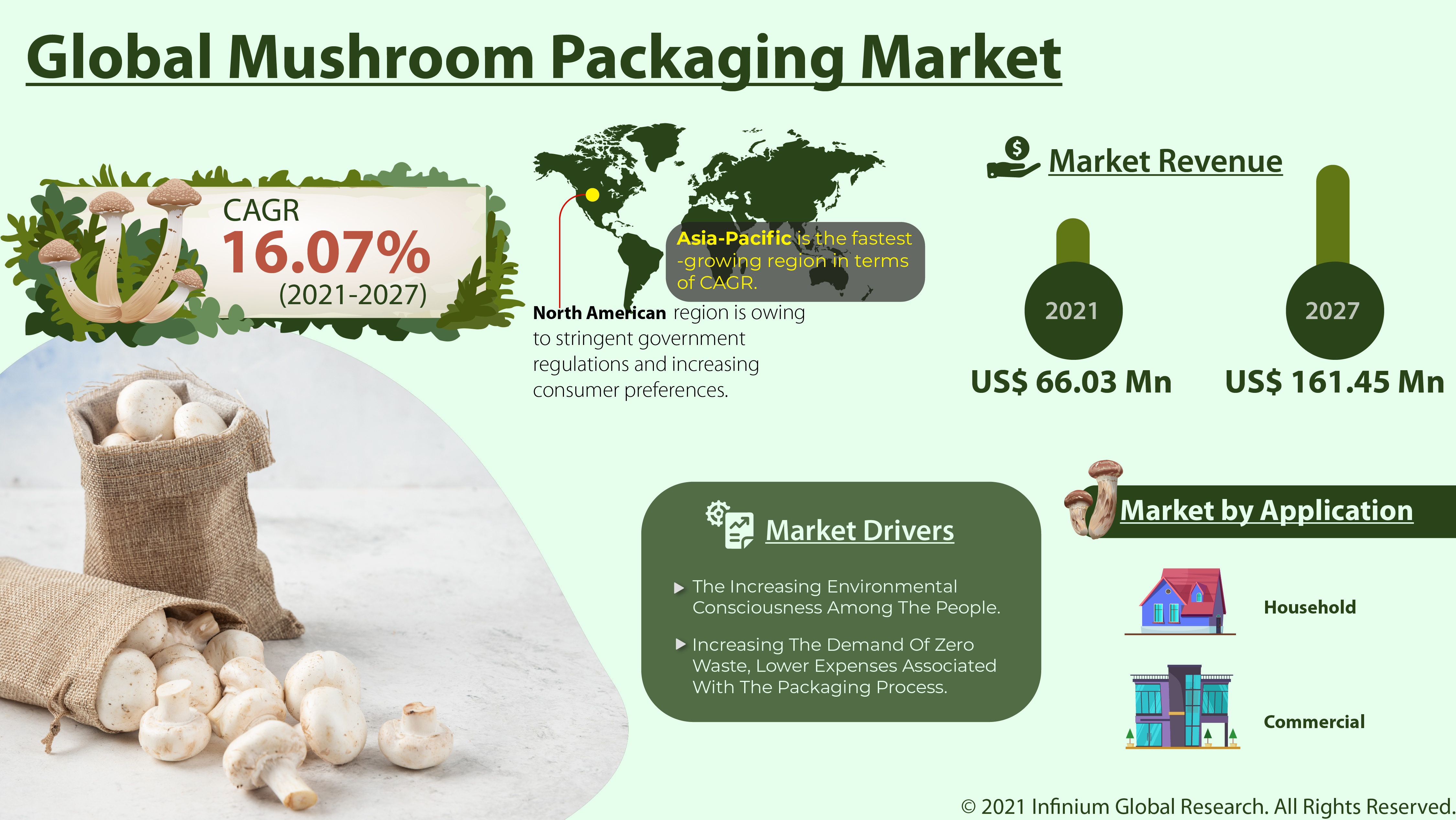Mushroom Packaging Market