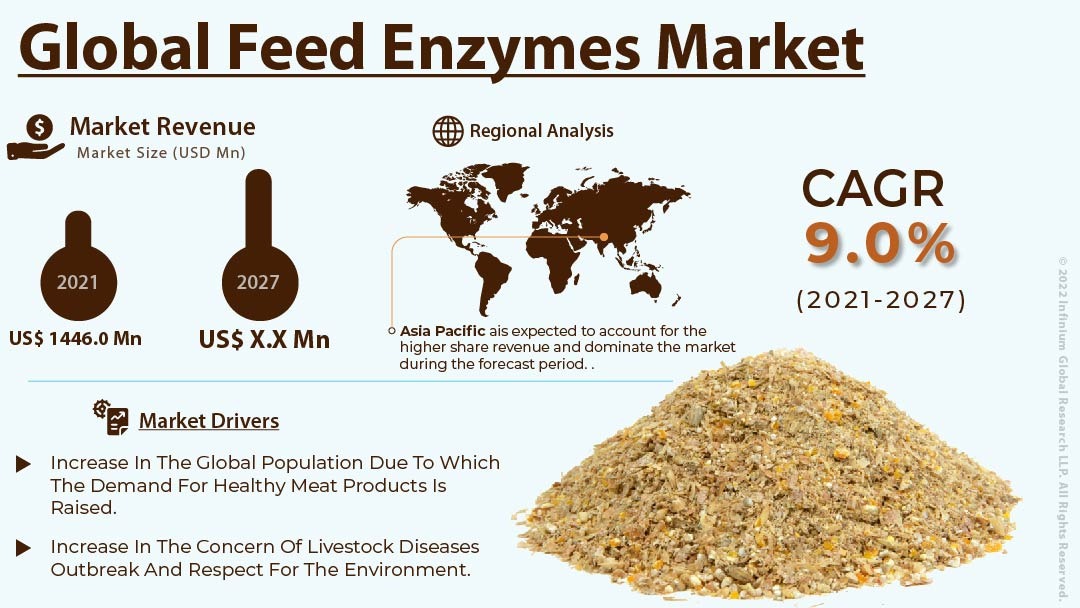 Feed Enzymes Market 