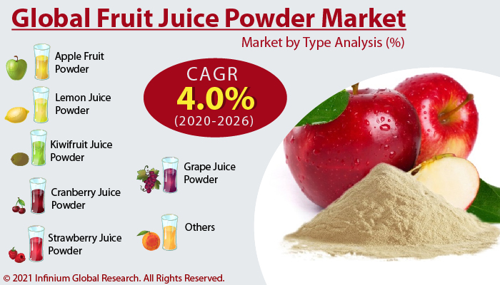 Fruit Juice Powder Market