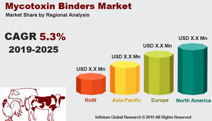 Global Mycotoxin Binders Market