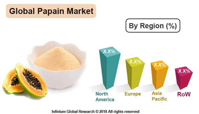 Global Papain Market