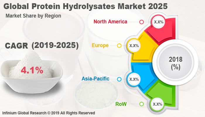 Global Protein Hydrolysates Market