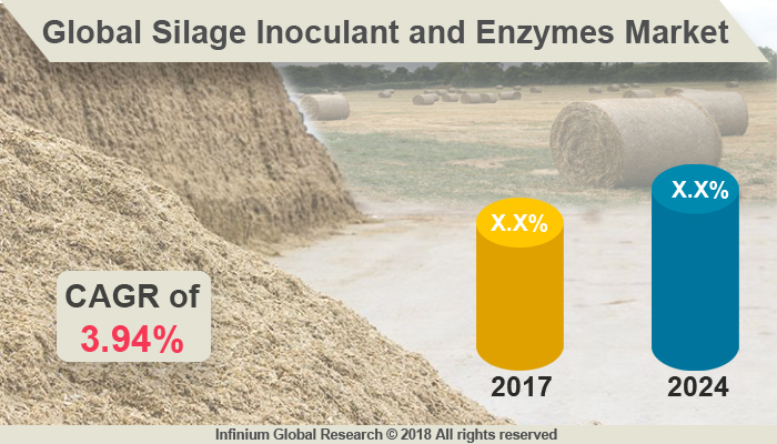 Silage Inoculant and Enzymes Market