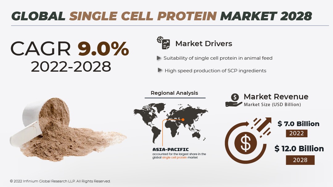 Single Cell Protein Market