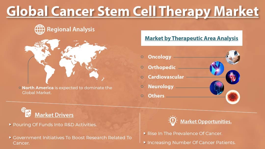 Cancer Stem Cell Therapy Market
