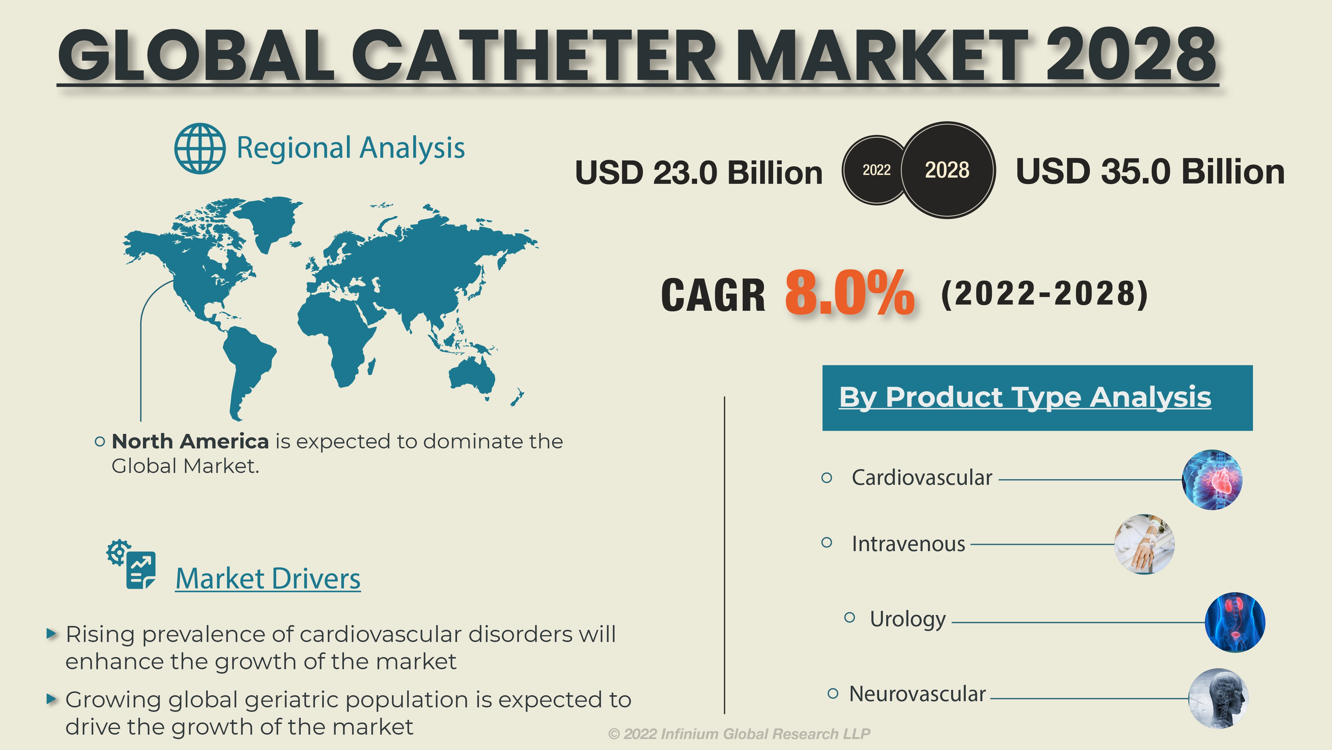 Catheters Market 