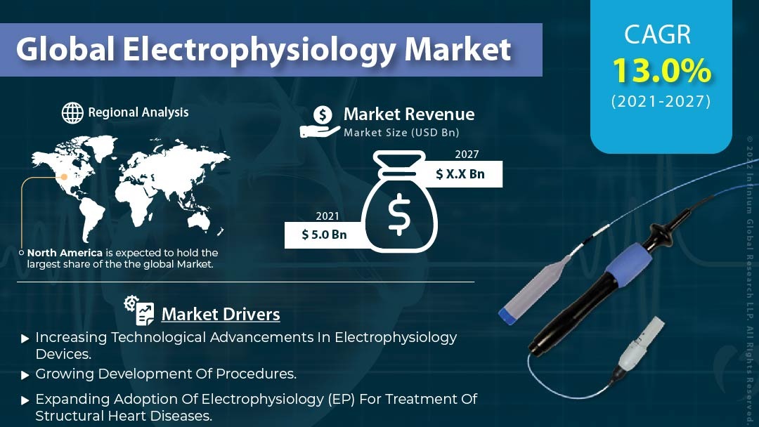 Electrophysiology Market 