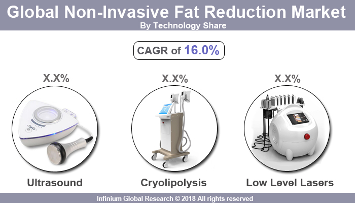 Global Non-Invasive Fat Reduction Market 