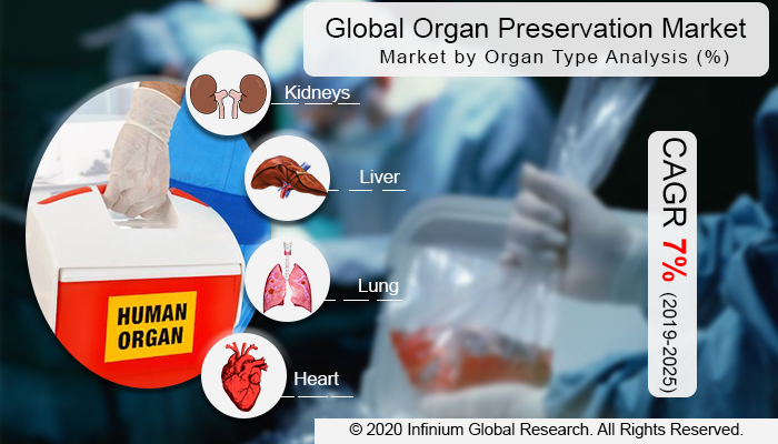 Global  Organ Preservation Market