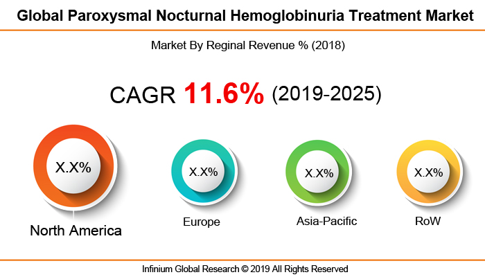 Global Paroxysmal Nocturnal Hemoglobinuria Treatment Market 