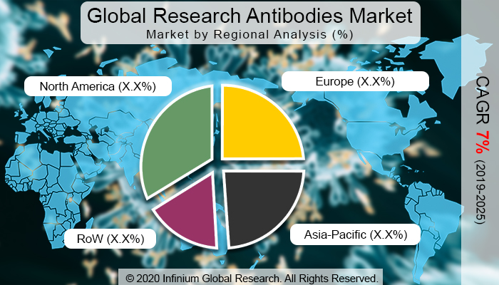 Global Research Antibodies Market
