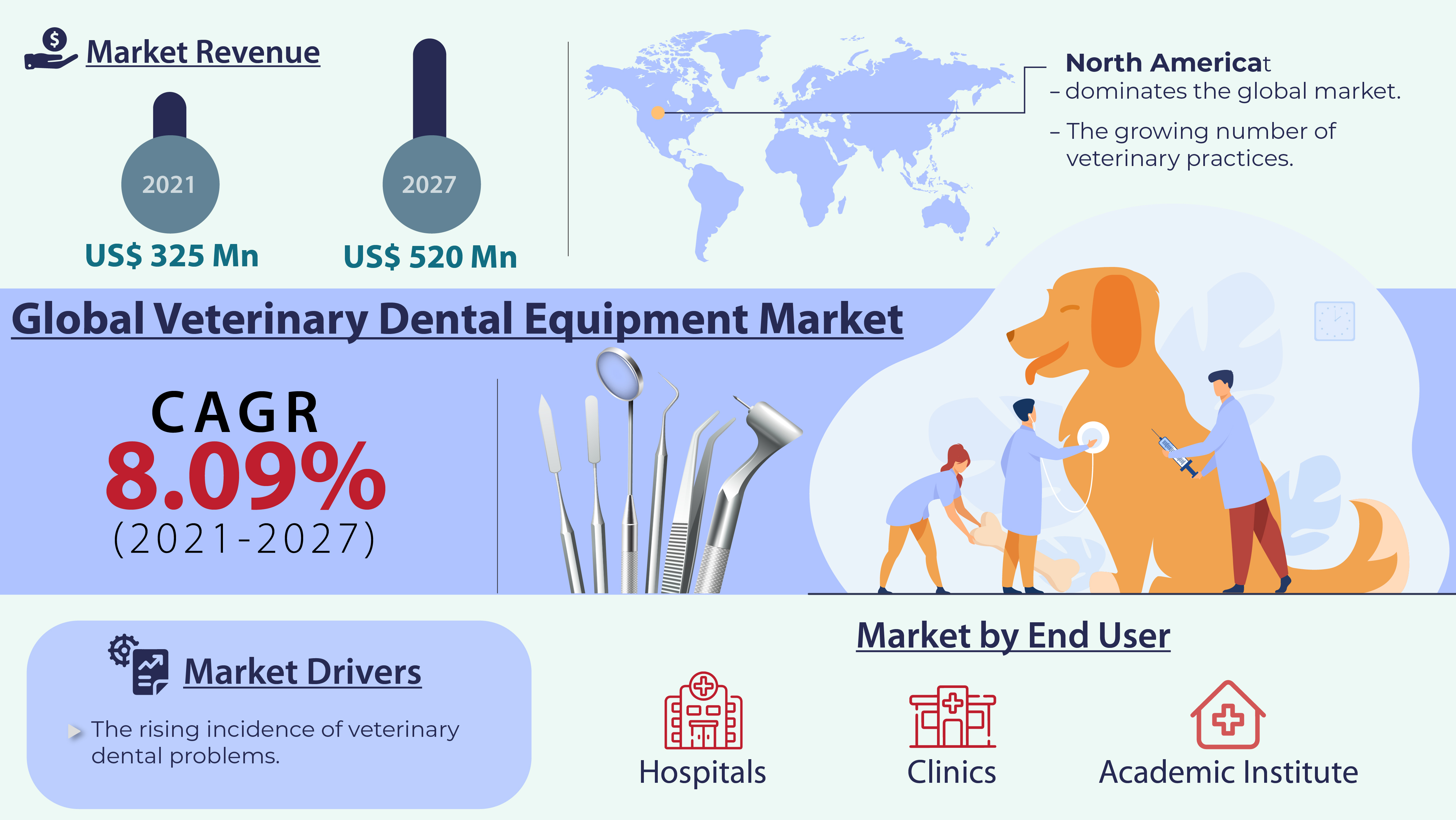 Veterinary Dental Equipment Market